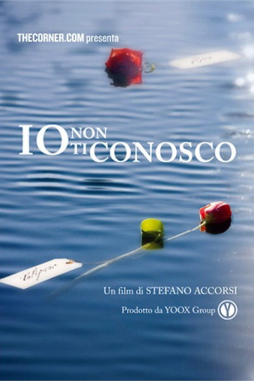 Io non ti conosco (2013) poster