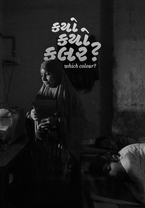 Which Colour? (2023) poster