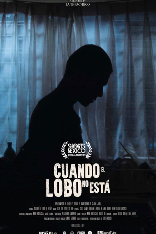 Cuando el lobo no está (2020) poster