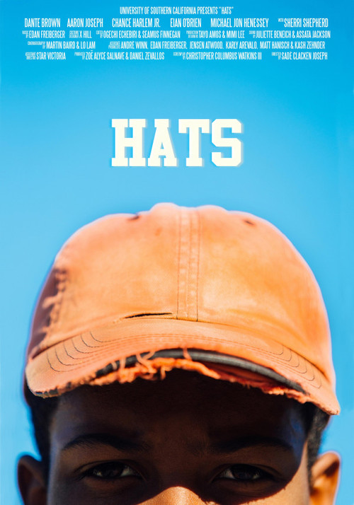 Hats (2017) poster
