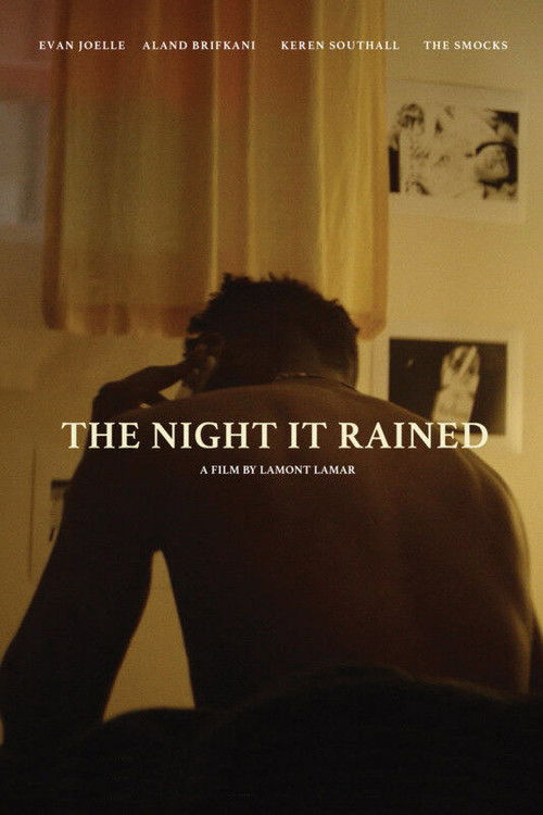 The Night It Rained (2021) poster