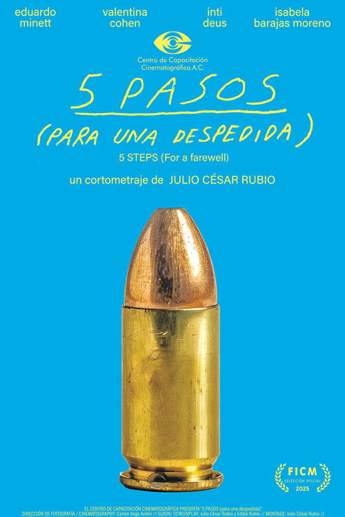5 PASOS (para una despedida) (2025) poster