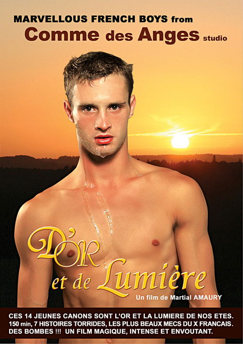 D’Or et de Lumière (2010) poster