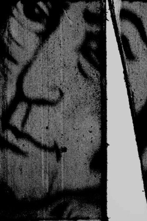 Doscientos ochenta mil millones de imágenes (2025) poster