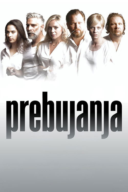 Awakenings (2017) poster