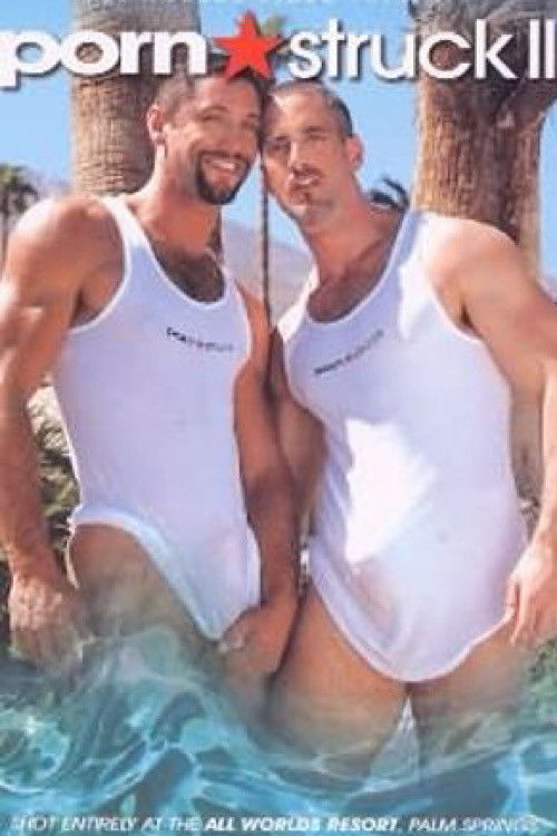 PornStruck II (2001) poster