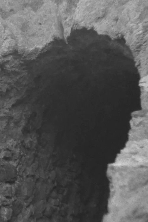 Pulsos subterráneos (2023) poster