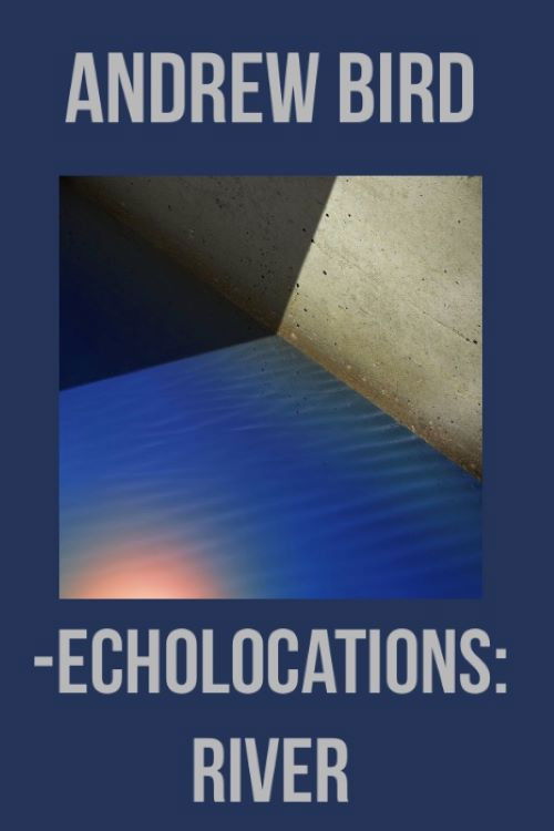 Echolocations: River (2017) poster