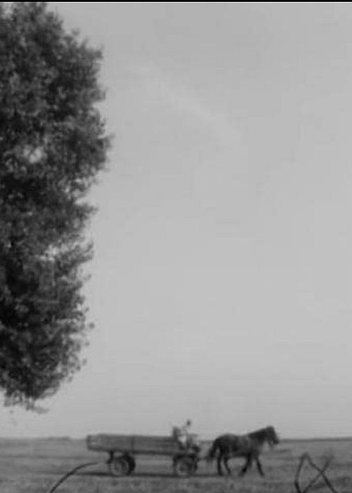 Summer Movie (1998) poster