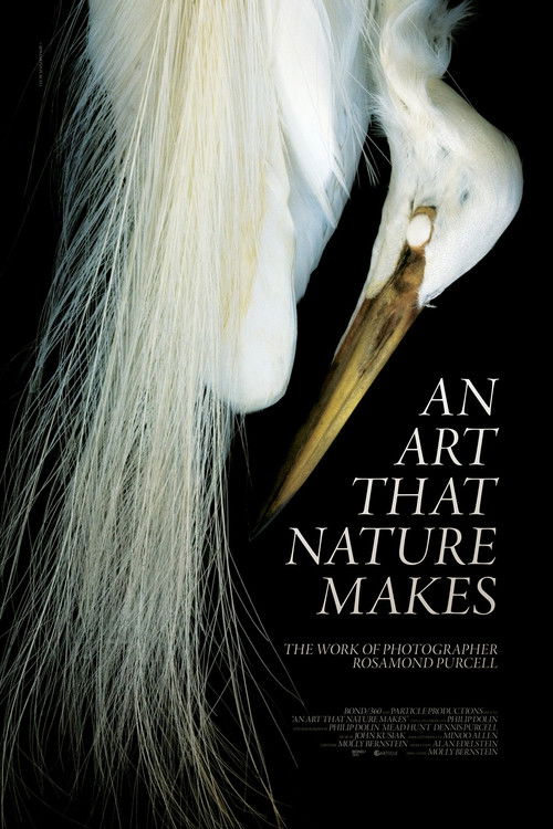 An Art That Nature Makes: The Work of Rosamond Purcell (2016) poster