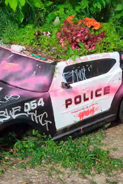 Department of Injustice (2020) poster