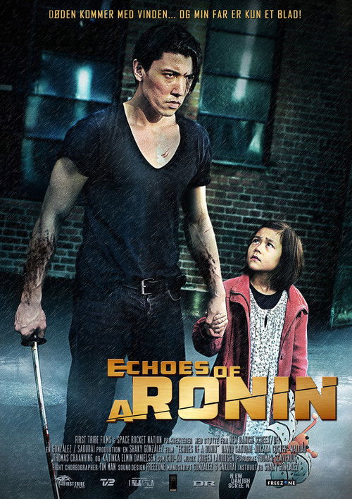 Echoes of a Ronin (2015) poster