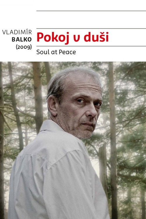 Pokoj v duši (2009) poster