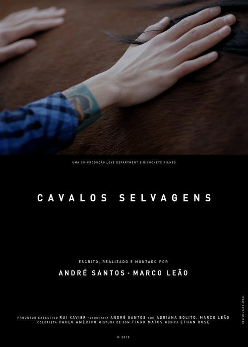 Wild Horses (2010) poster