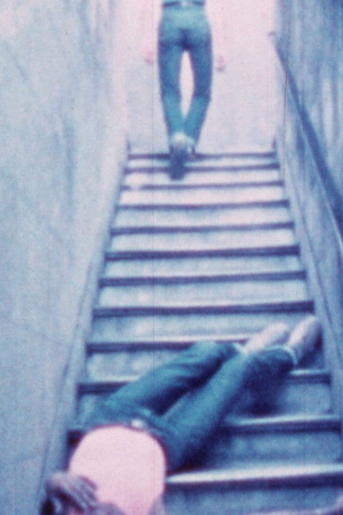 Thresholds (1980) poster