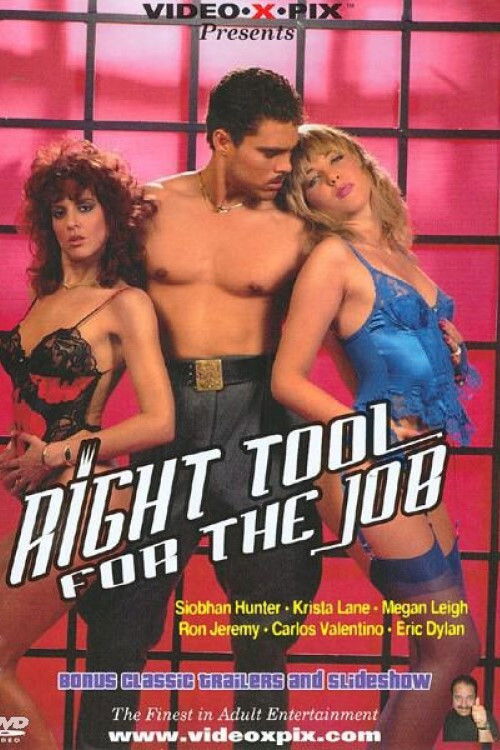 Right Tool For The Job (1988) poster