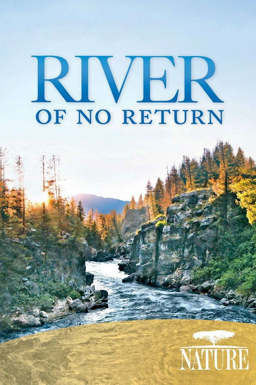 River of No Return (2012) poster