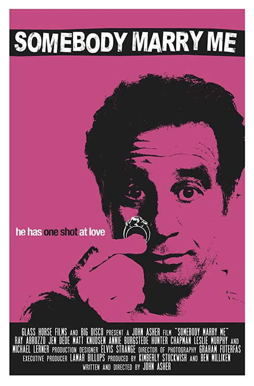 Somebody Marry Me (2013) poster
