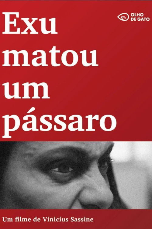 Meeting the Orixá (2020) poster