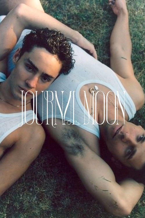 Transition (2021) poster