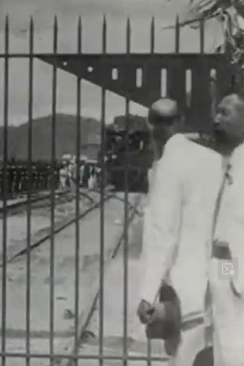 Inauguración del trafico internacional de Tehuantepec (1907) poster