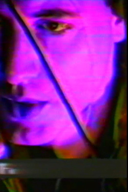 Venus to Penis (1983) poster