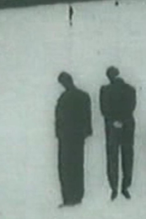 La quieta febbre (1964) poster