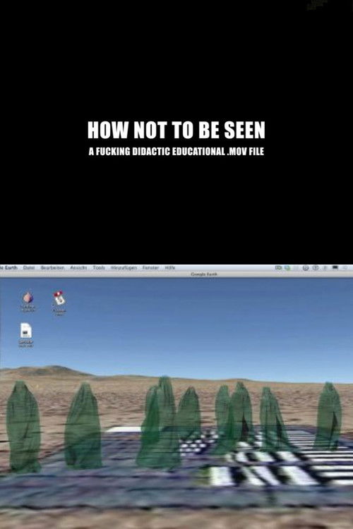 How Not to Be Seen: A Fucking Didactic Educational .MOV File (2013) poster