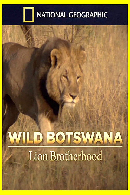 Lion Brotherhood (2013) poster