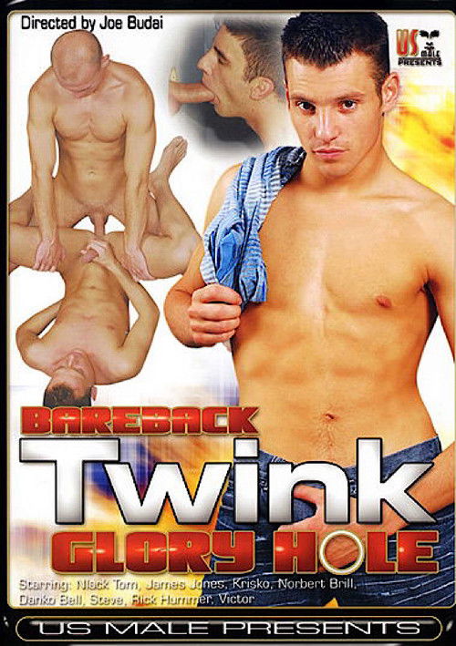 Bareback Twink Glory Hole (2009) poster