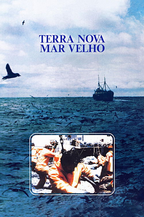 Terra Nova, Mar Velho (1983) poster