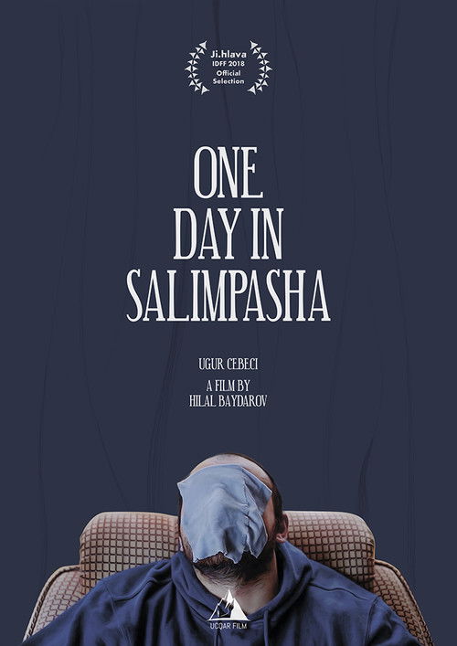 One Day in Selimpasha (2018) poster