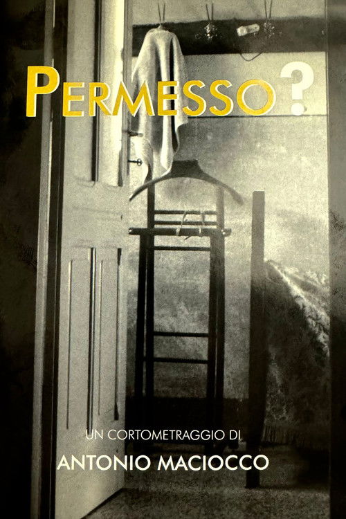 Permesso? (2010) poster