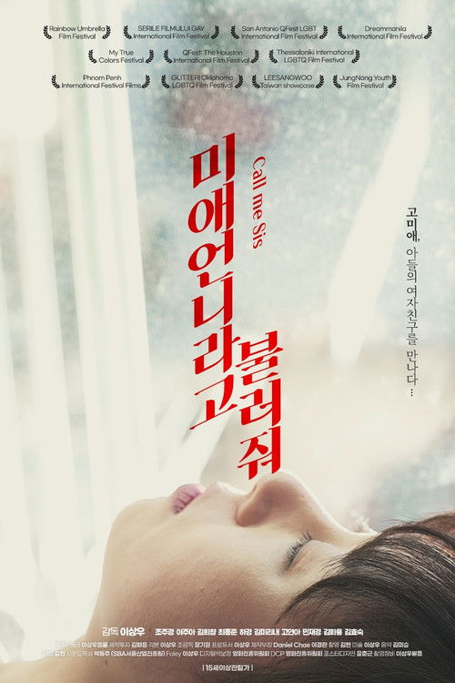 Call Me Sis (2022) poster