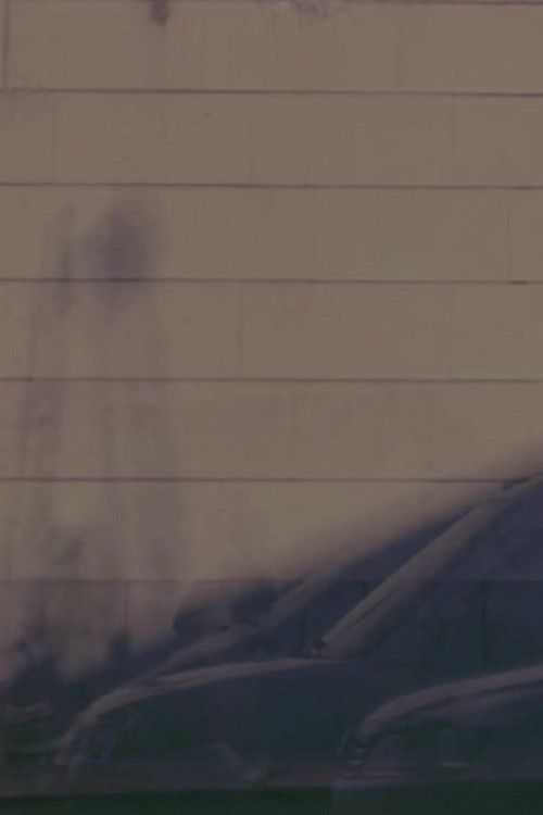 The Captured Light of an Instant (2017) poster