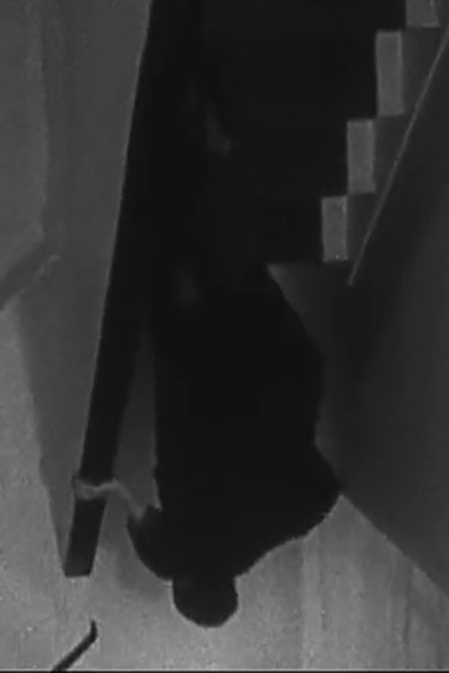 Escalator (2006) poster