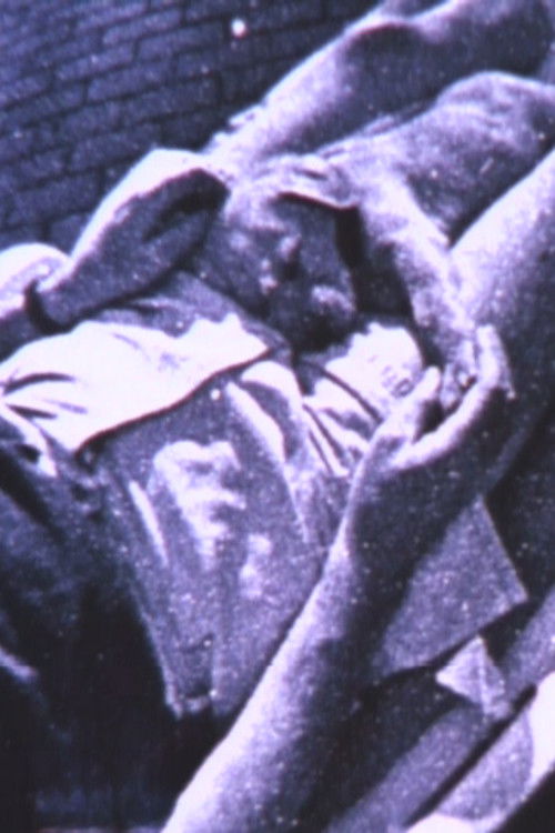 The View Never Changes (1996) poster