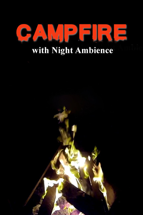 Campfire with Night Ambience (2018) poster