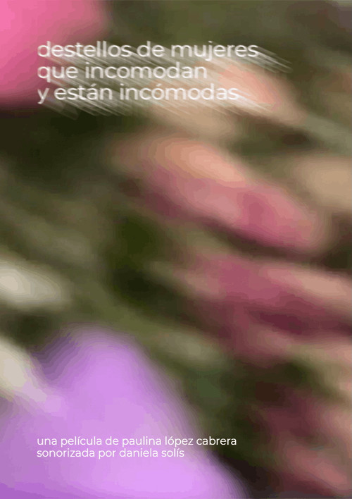 Destellos de las mujeres que incomodan y están incómodas (2024) poster