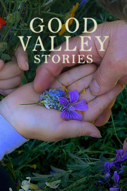 Good Valley Stories (2025) poster