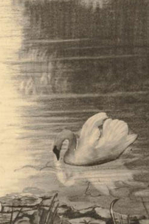 Den Grimme Ælling (1928) poster