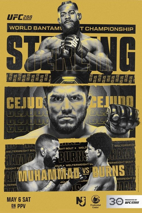 UFC 288: Sterling vs. Cejudo (2023) poster