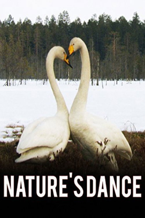 Nature's Dance (2008) poster