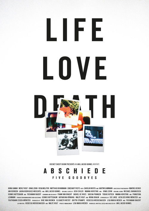 Abschiede (2011) poster