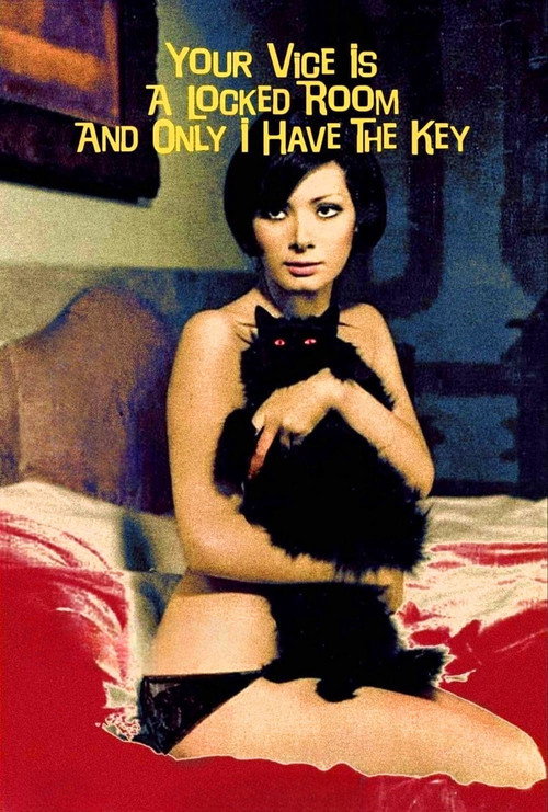 Gece Ziyaretçisi (1972) poster