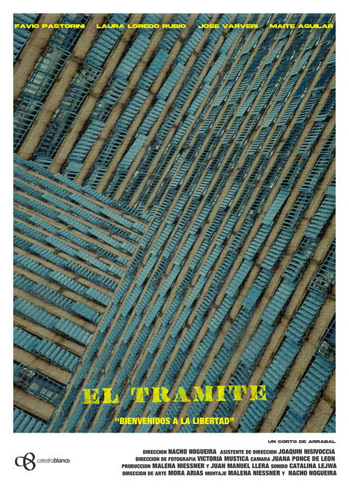 The Procedure (2025) poster