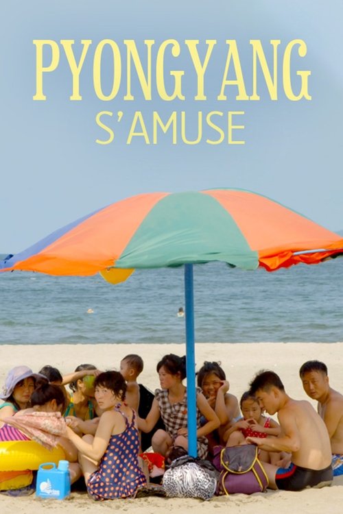 Have Fun in Pyongyang (2019) poster