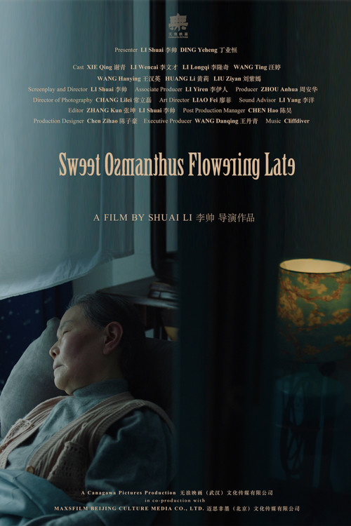 Sweet Osmanthus Flowering Late (2024) poster