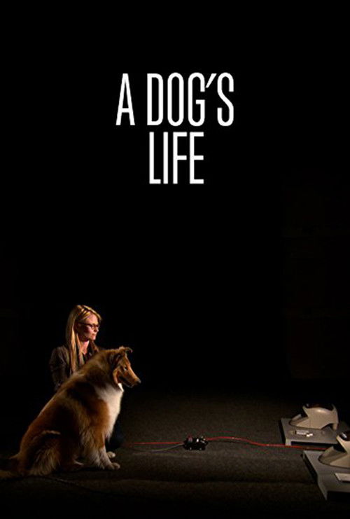 A Dog's Life (2013) poster
