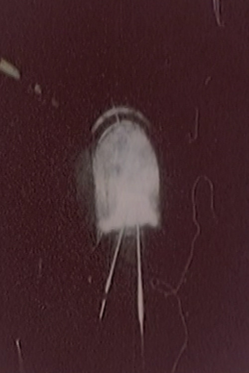 Hibaku Ningen X (2012) poster